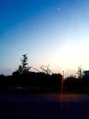 送谢先生归紫霄峰