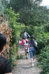 登阳山妙净院