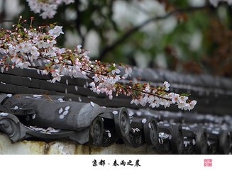 卧病（时在京都）