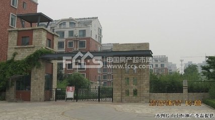 赋月中佳