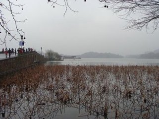 断桥春望