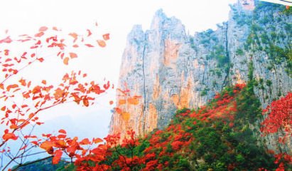 巫山（一作宋之问诗）