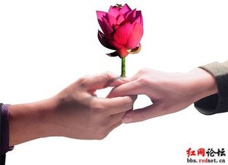 齐天乐 戊子清明，次曹云翁韵