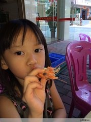 和程给事贇闍黎化去之什