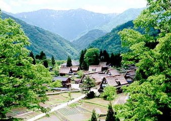 恨春迟