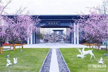 杨六尚书留太湖石在洛下借置庭中因对举杯寄赠绝句