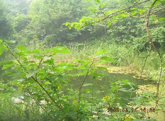 陪江西裴公游襄州延庆寺