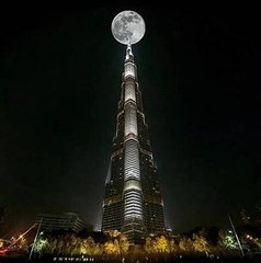 酬朱侍御望月见寄