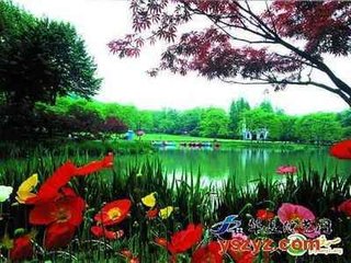 画堂春·落红铺尽水平池