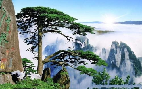 将游衡岳，过汉阳双松亭，留别族弟浮屠谈皓