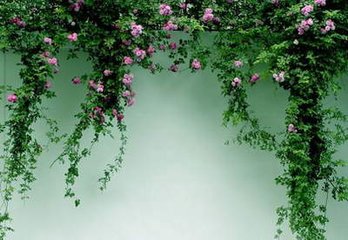 南乡子·花落未须悲