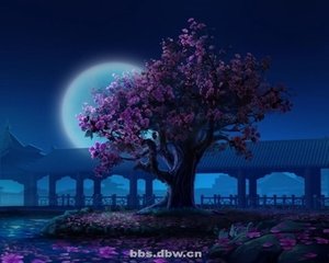减字木兰花 秋思