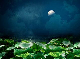 鹧鸪天·翠勺银锅飨夜游