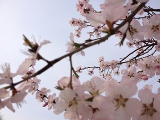 偶作夜雨诗明日读而自笑别赋一首