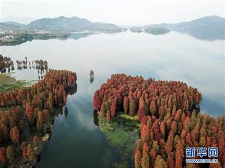 四明越添监连日惠诗不能尽继匠手次唐律韵以
