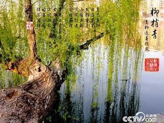 柳梢青·三山归途代白鸥见嘲