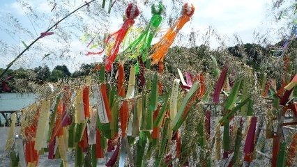 善福寺阁