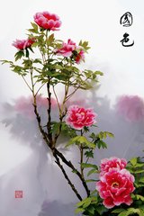 水龙吟 同张大经御史赋牡丹
