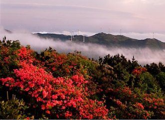 高冠谷口招郑鄠