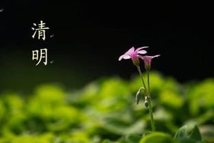 裴侍郎湘川回，以青竹筒相遗，因而赠之