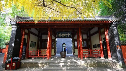 奉陪安抚大卿登八陈台览观忠武侯诸葛公遗像
