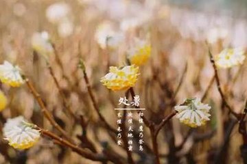处暑后风雨