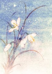 蝶恋花（商调柳·第二）