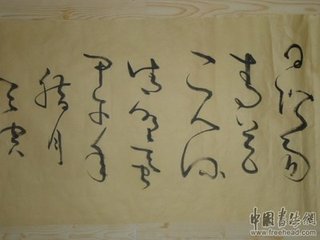 野蚕