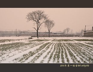 连日有雪意戏书