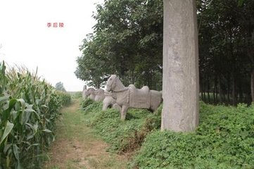 刘妃墓