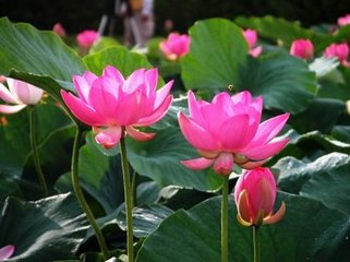 西江月　再用前韵戏曹子方