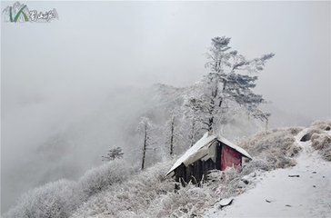 寄九峰觉老时自因胜退居