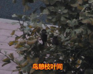 晚秋农家