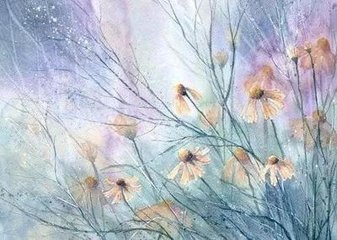 行香子·晚绿寒红