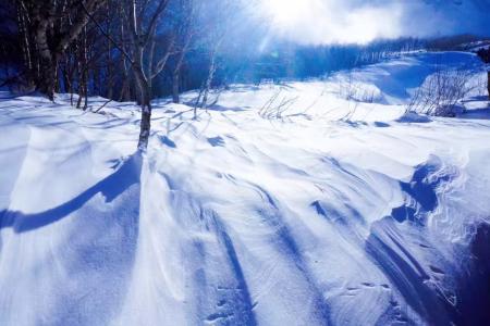 过信阳军白雪驿