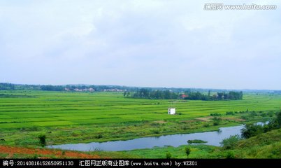 游平原赠晦叔