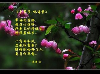卜算子·春浅借和风