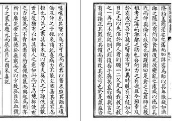 南城吴氏记予七十三岁之颜
