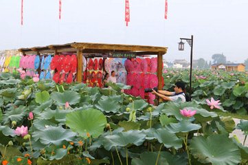 藕池阻风，寄同行抚牧裘驾