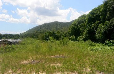 西山兰若试茶歌