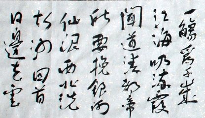 水调歌头（寿赵茶马）