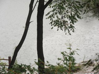 观雨