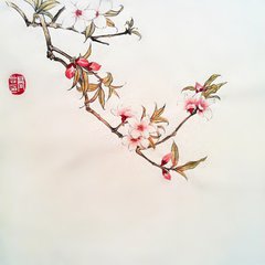 菩萨蛮（杏花）