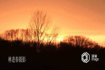 惜花寄孙员外