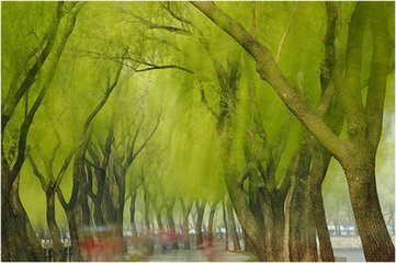 木兰花（柳枝·三之三·林钟商）