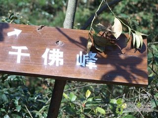仲昭约明岁游天台雁荡先以逍遥衣见赠作张公