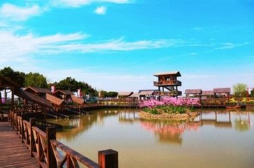 新暑赋西轩竹