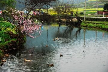 春江