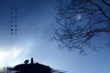 余十岁时从亡兄仲氏侍先父摄帅江陵郡圃蜡梅