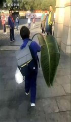 题芭蕉叶上